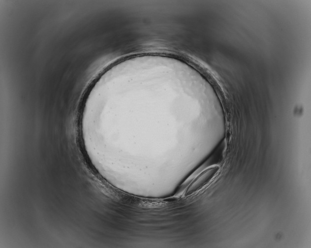X0000099941415200806201110