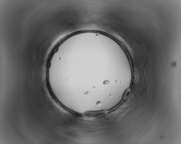 X0000099941416200806201110