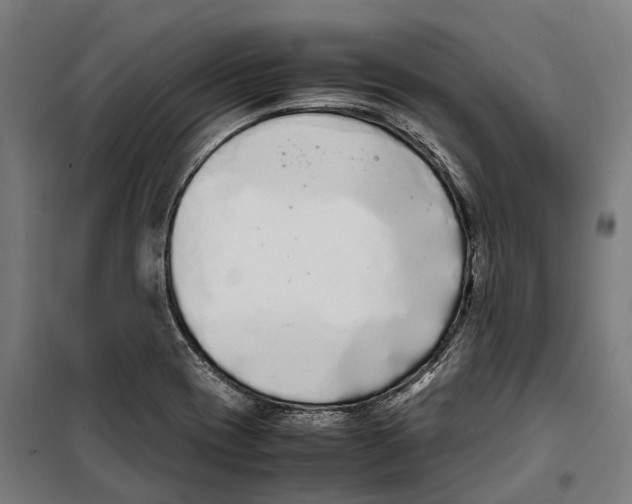 X0000099941417200806201110