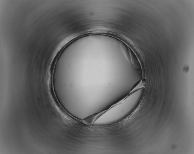 X0000099941418200806201110