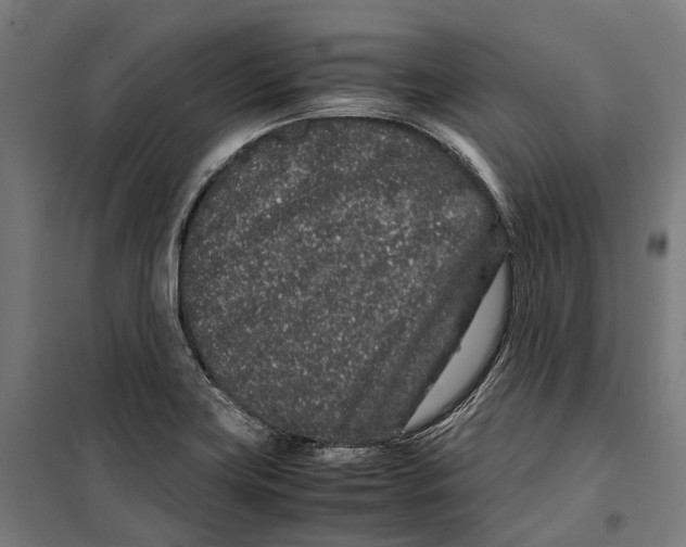 X0000099941419200806201110