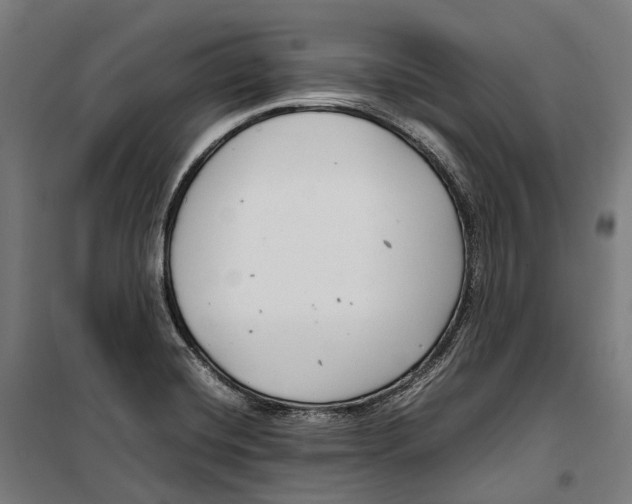 X0000099941420200806201110