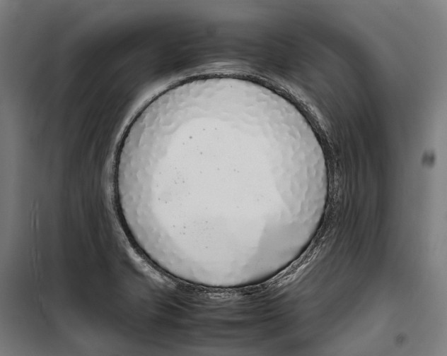 X0000099941421200806201110