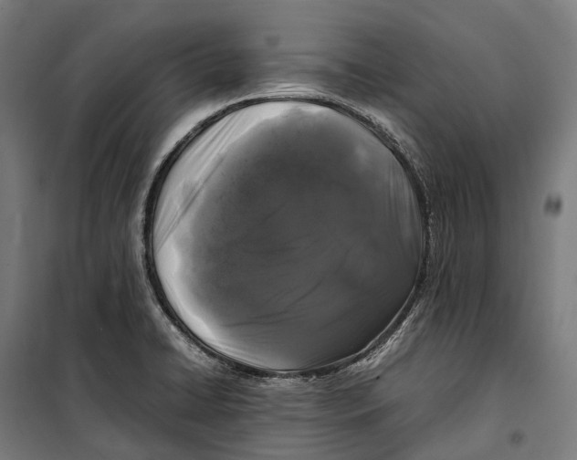 X0000099941422200806201110