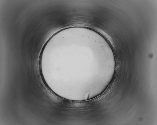 X0000099941423200806201110