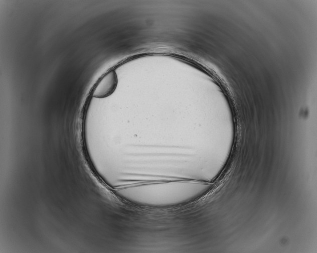 X0000099941424200806201110