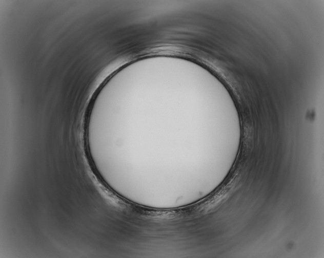 X0000099941426200806201110