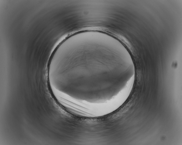 X0000099941428200806201110