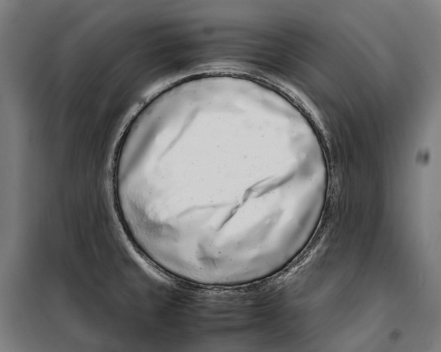 X0000099941429200806201110