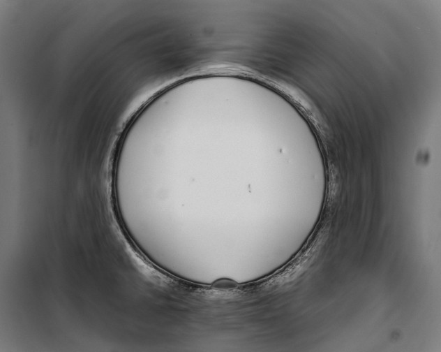 X0000099941430200806201110