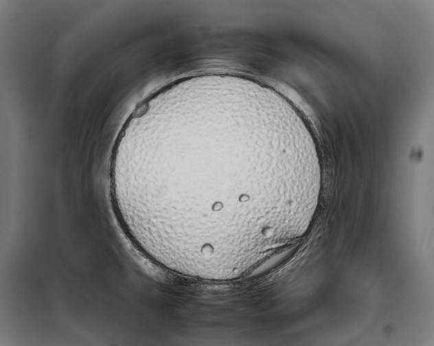 X0000099941431200806201110