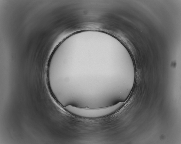 X0000099941432200806201110