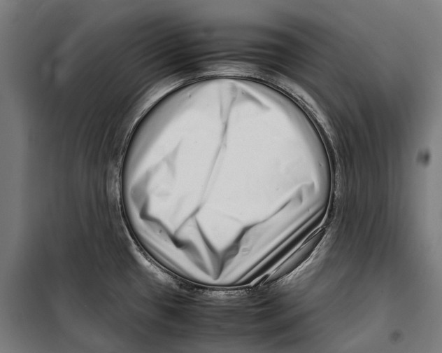 X0000099941433200806201110