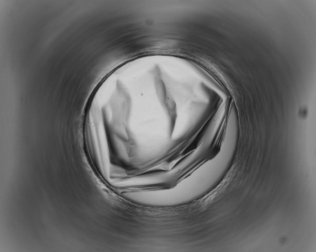 X0000099941434200806201110