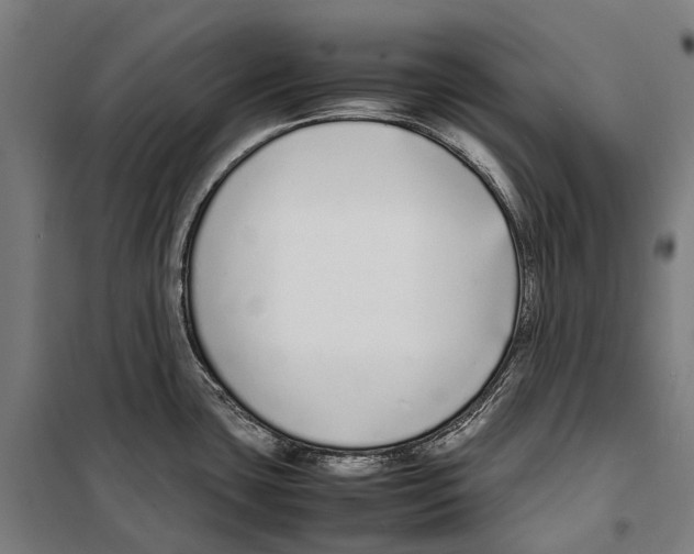 X0000099941435200806201110