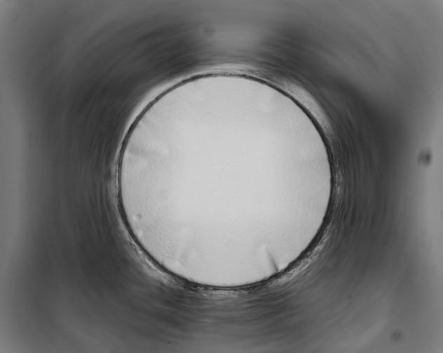 X0000099941436200806201110