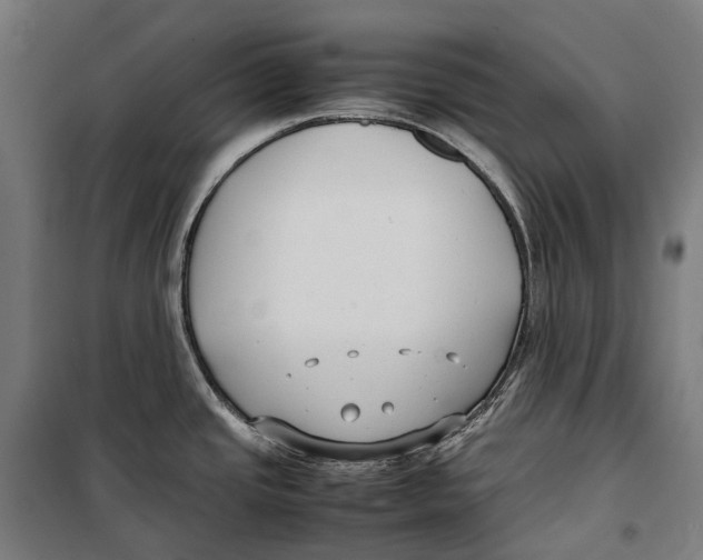 X0000099941437200806201110