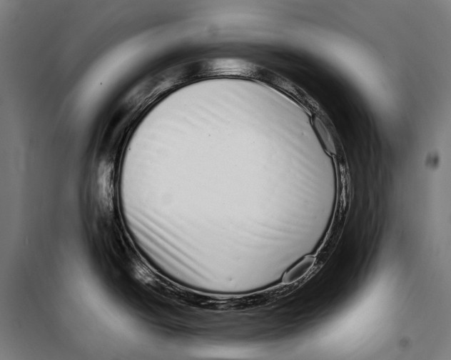X0000099941438200806201110