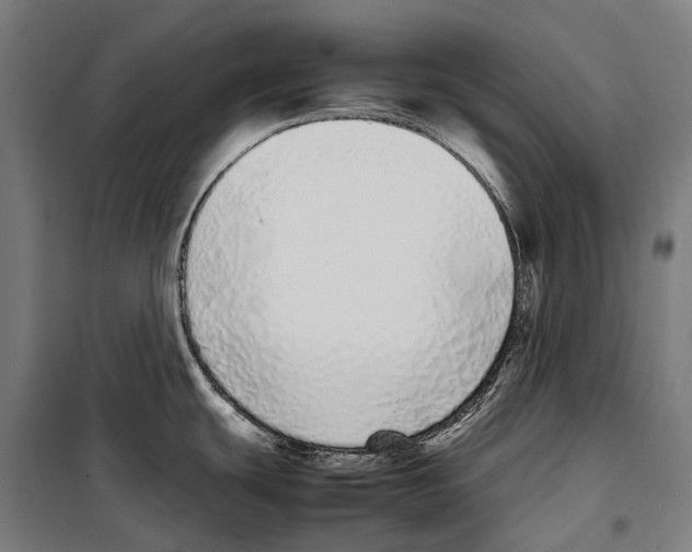 X0000099941439200806201110