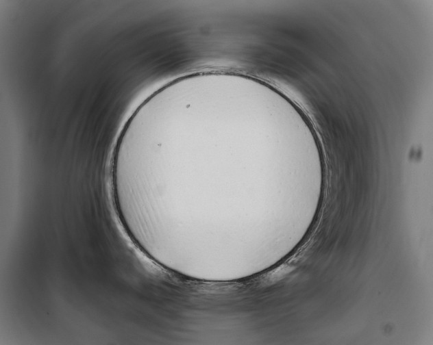 X0000099941440200806201110