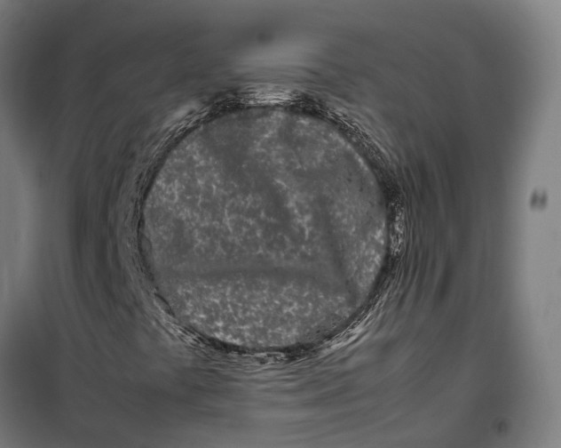 X0000099941441200806201109
