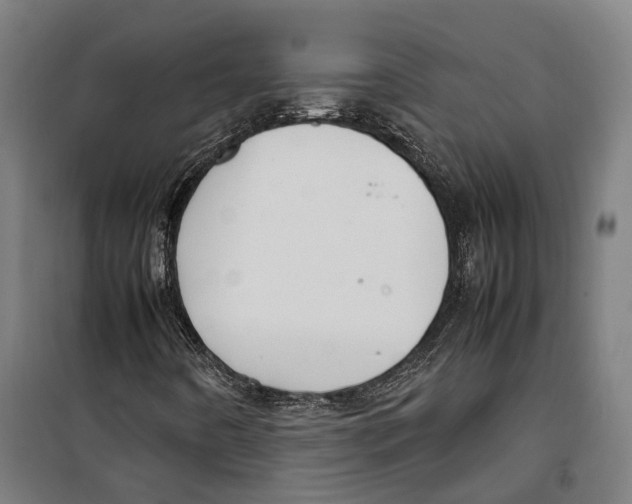 X0000099941442200806201109
