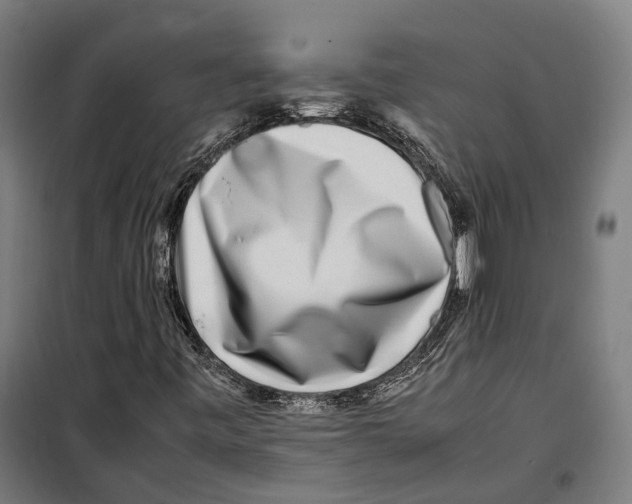 X0000099941443200806201109