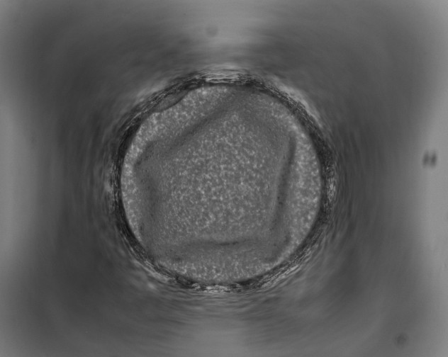X0000099941445200806201109