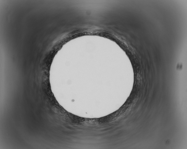 X0000099941447200806201109