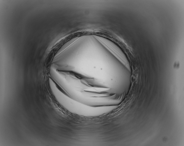 X0000099941448200806201109