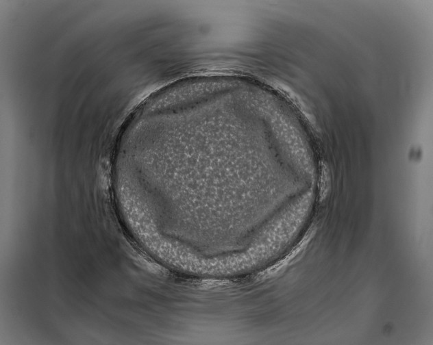 X0000099941449200806201109