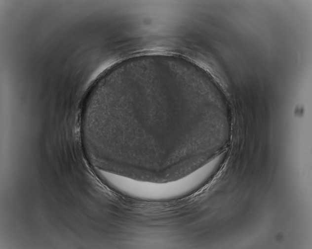 X0000099941450200806201109
