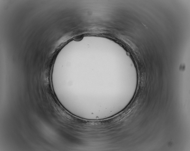 X0000099941451200806201109