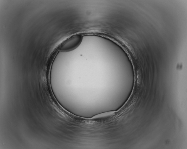 X0000099941452200806201109