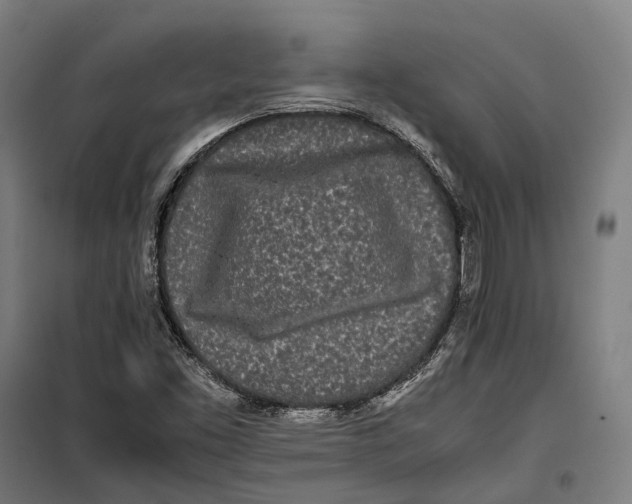 X0000099941453200806201109