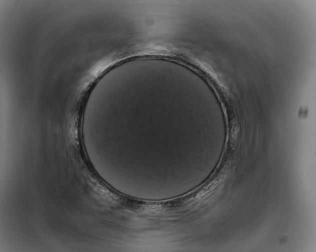 X0000099941455200806201109