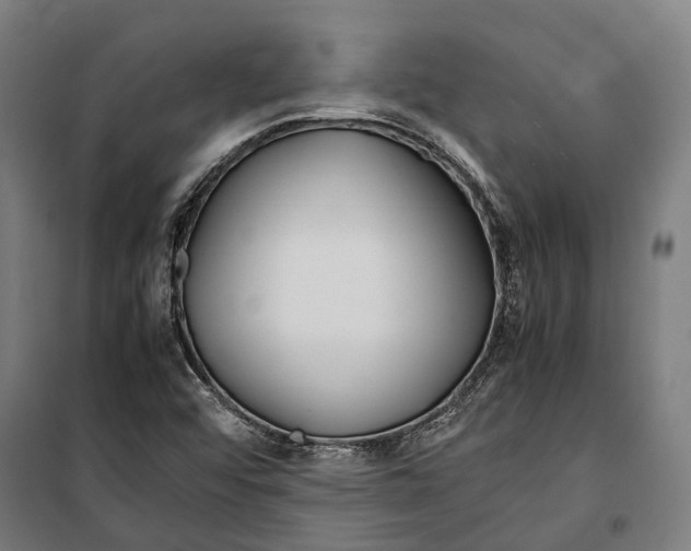 X0000099941456200806201109