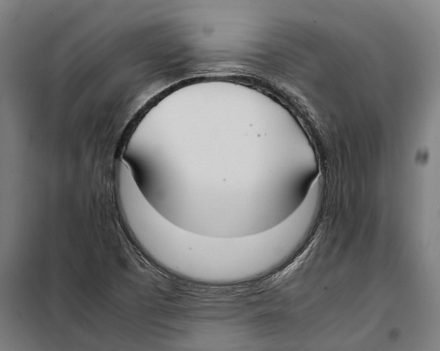 X0000099941457200806201109
