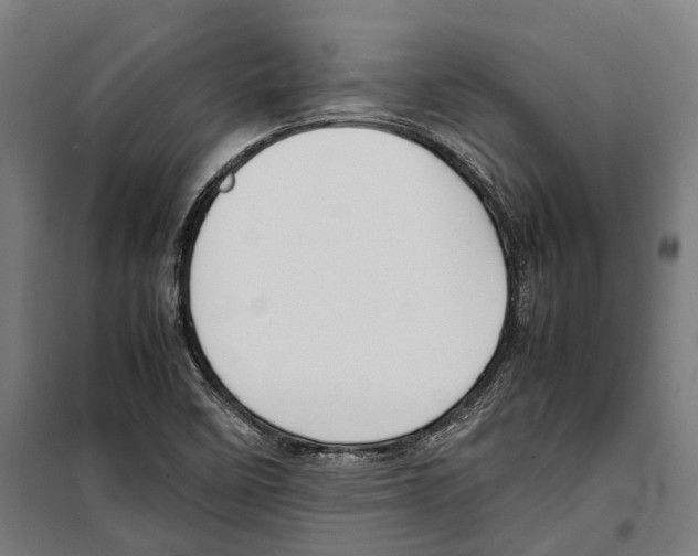 X0000099941458200806201109