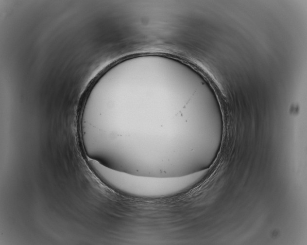 X0000099941460200806201109