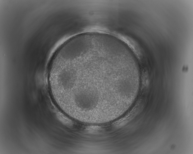 X0000099941462200806201109