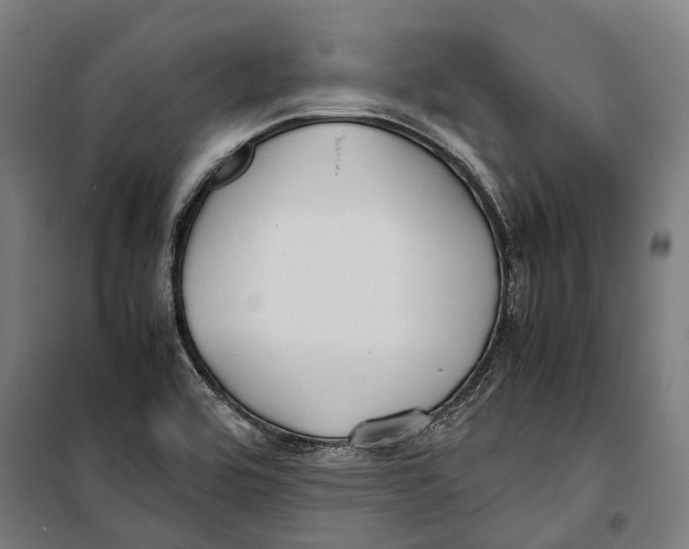 X0000099941464200806201109