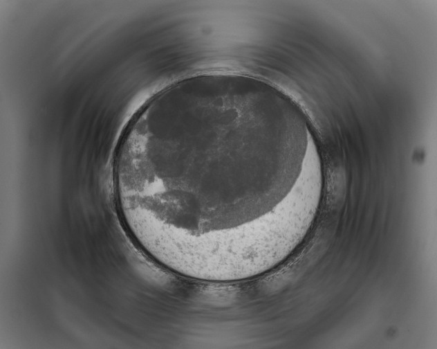 X0000099941466200806201109