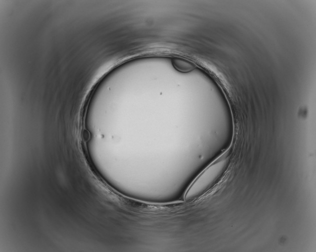 X0000099941467200806201109