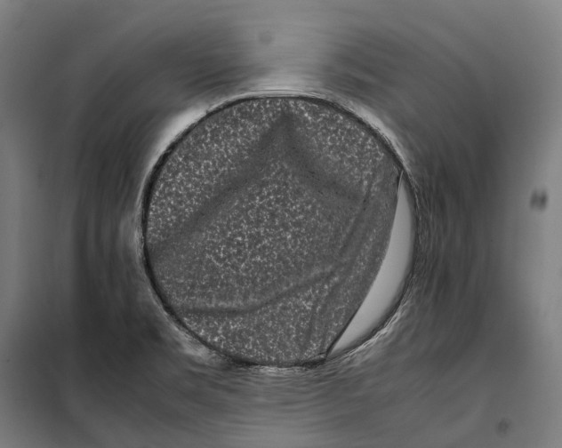 X0000099941469200806201109