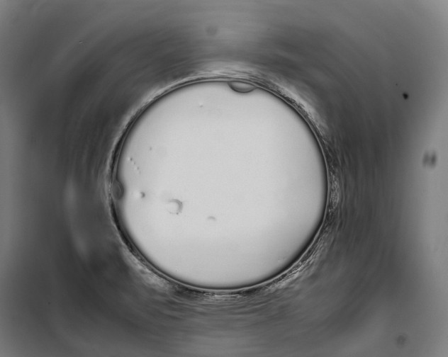 X0000099941471200806201109
