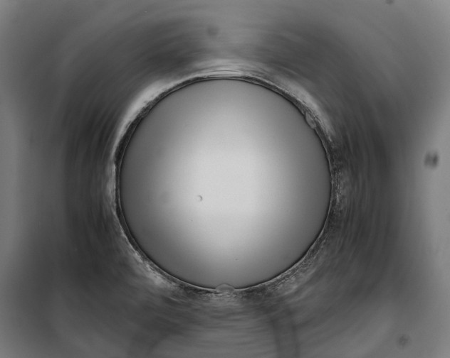 X0000099941472200806201109