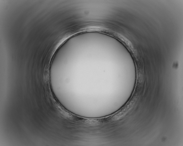 X0000099941473200806201109