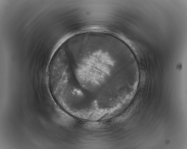 X0000099941474200806201109