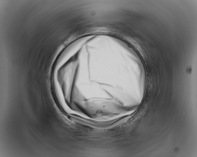 X0000099941475200806201109
